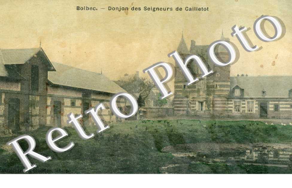 Donjon des Seigneurs de Cailletot