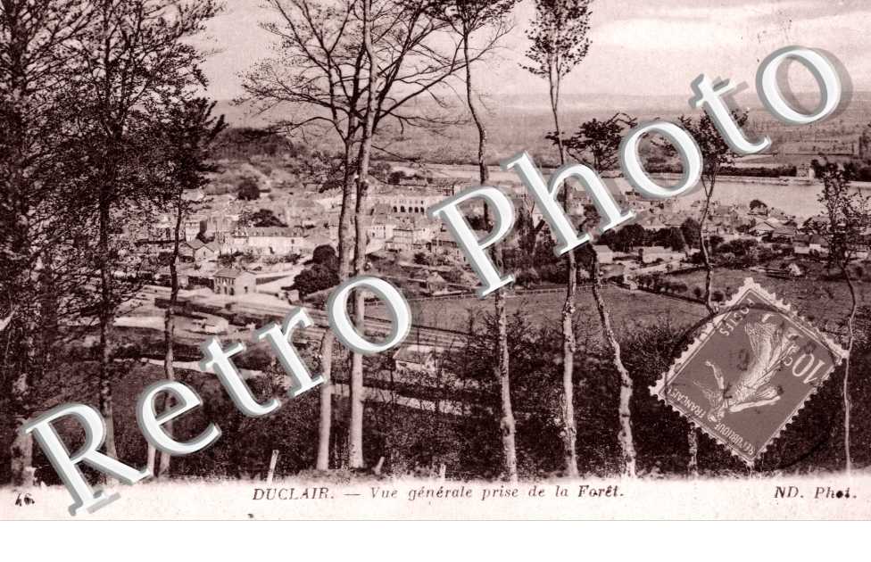 Vue generale prise de la foret