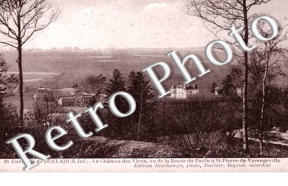 le Chateau des vieux, vu de la route du Paulu a St PIerre de Varengeville
