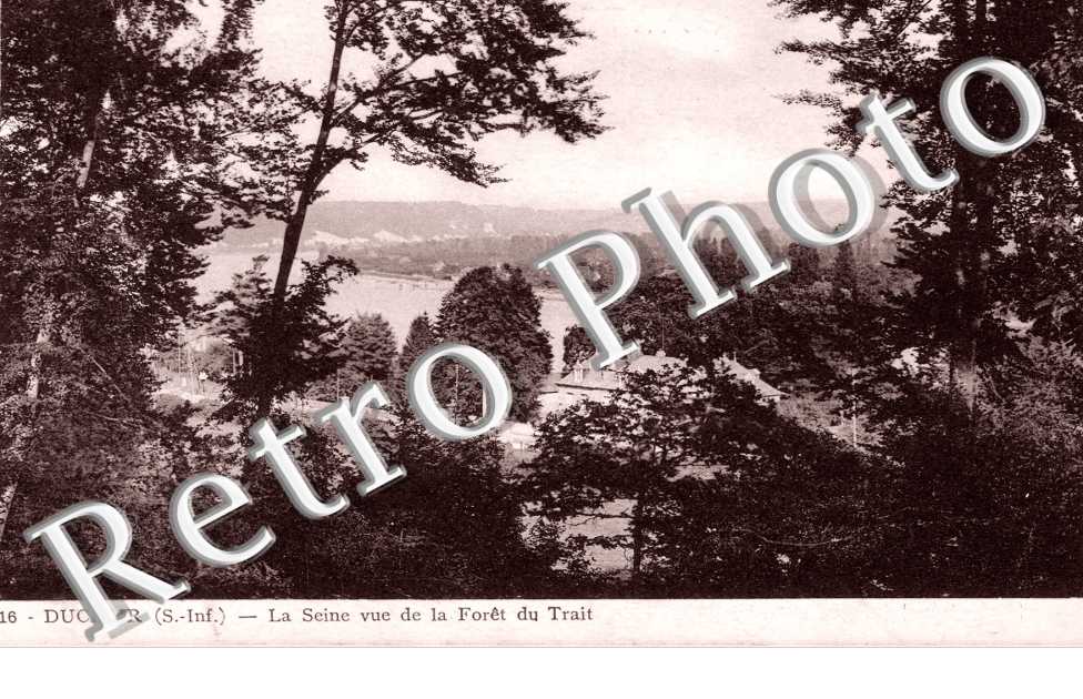 La Seine vue de la Foret du Trait