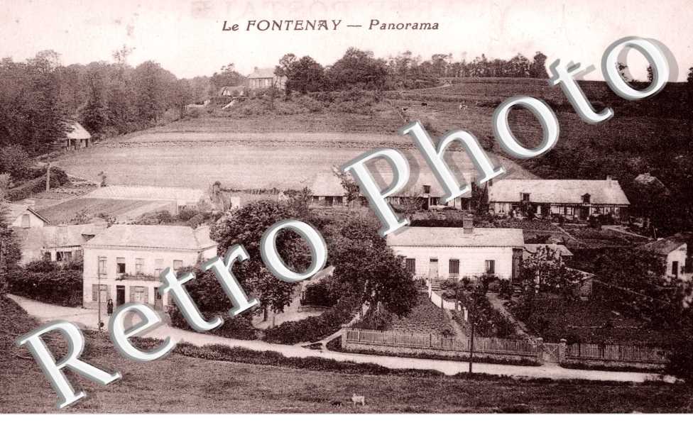 Panorama