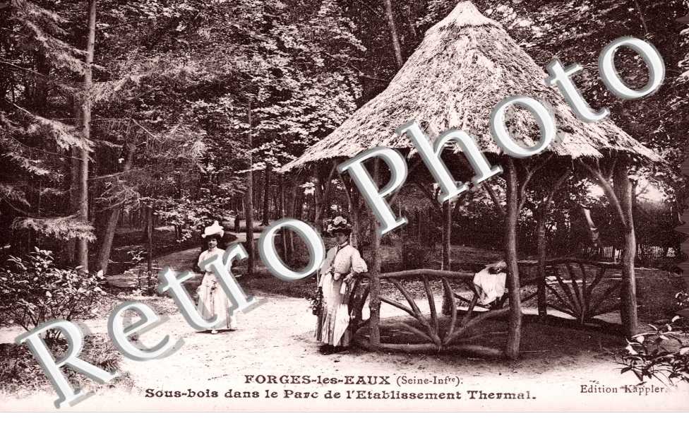 Sous bois dans le parc