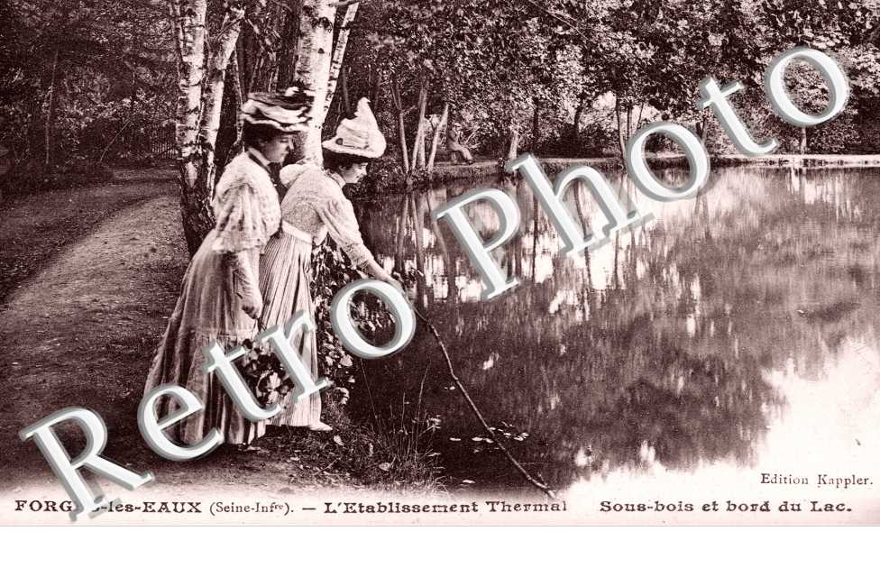 Sous bois et bord du lac