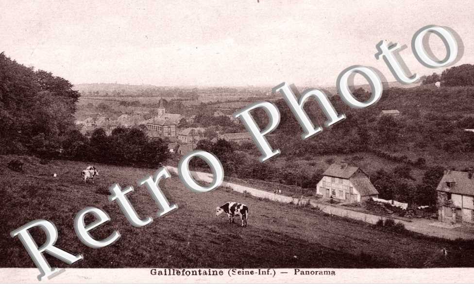 Panorama