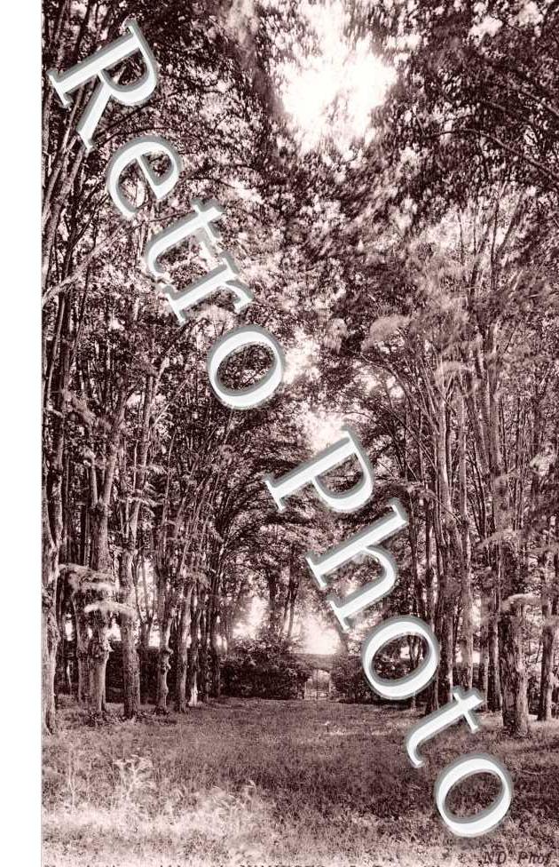 Ancienne Abbaye - le parc