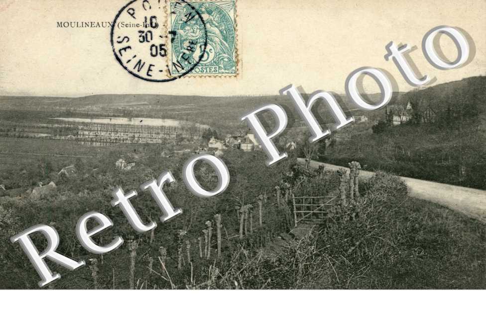Panorama