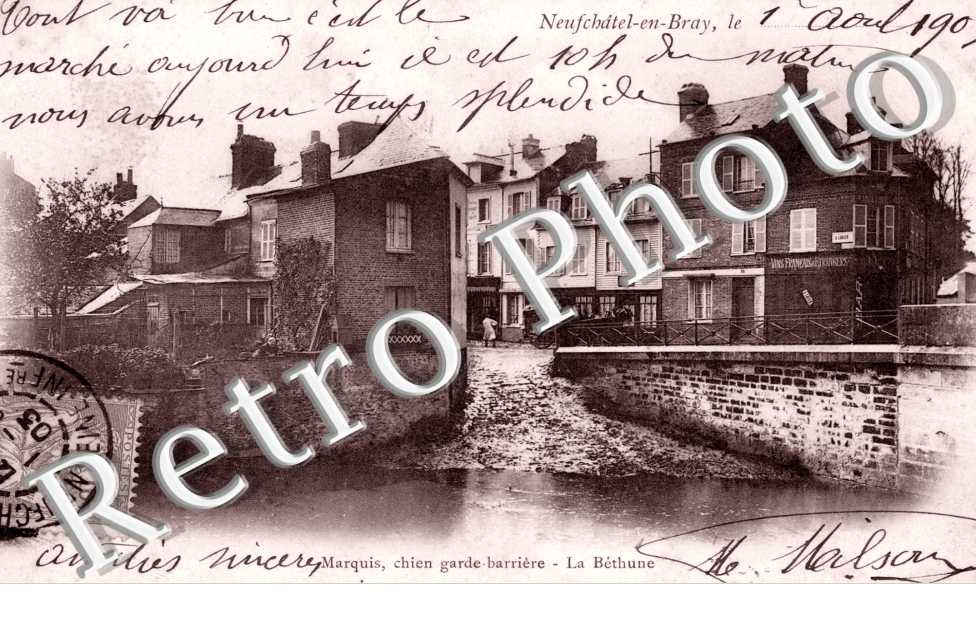 Marquis, chein garde-barriere, la Bethune