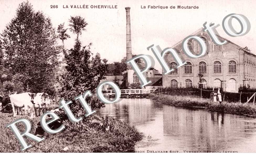 La fabrique de moutarde