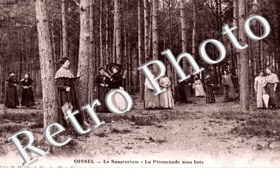 Le Sanatorium - La promenade sous bois
