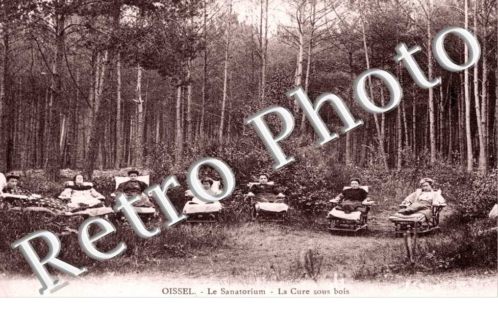 Le Sanatorium - La cure sous bois