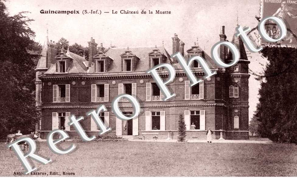 Le chateau de la Muette