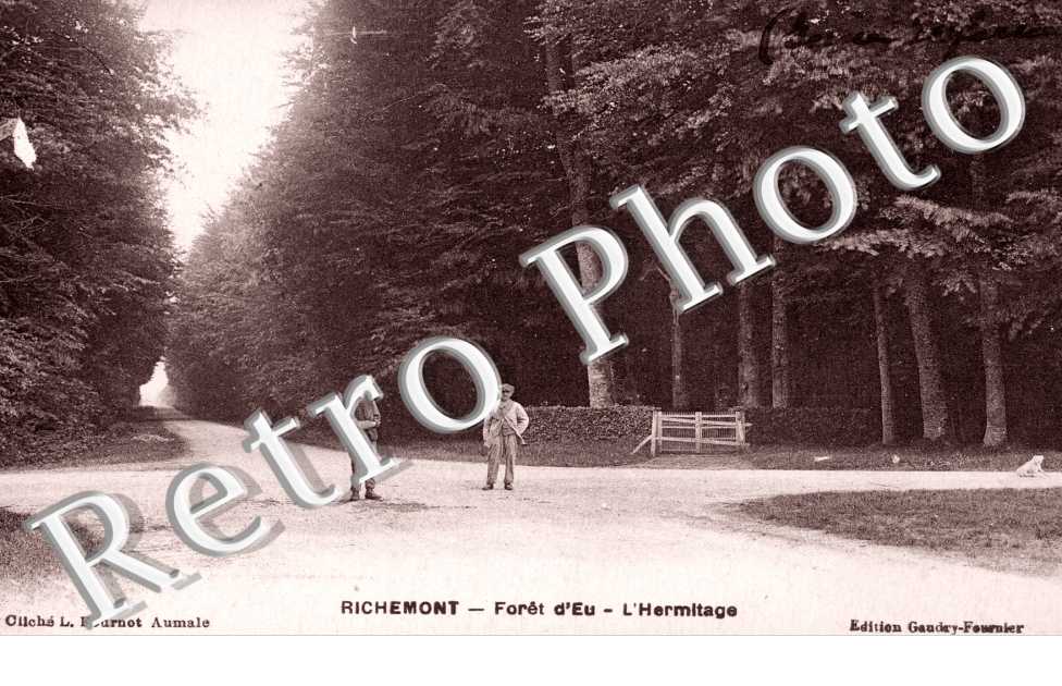 Foret d&#039;Eu - L&#039;Hermitage