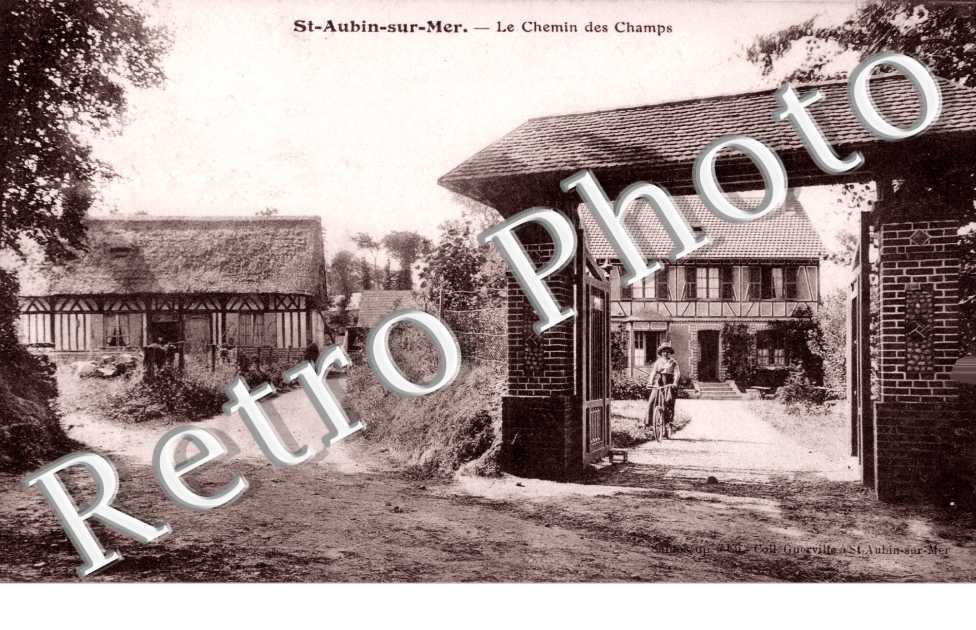 Le chemin des champs