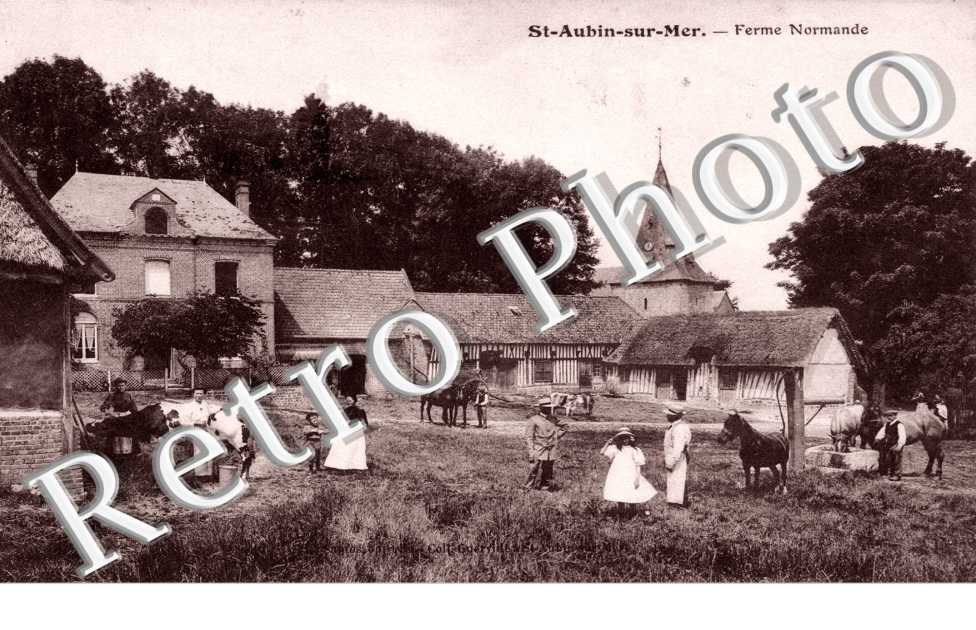 Ferme normande
