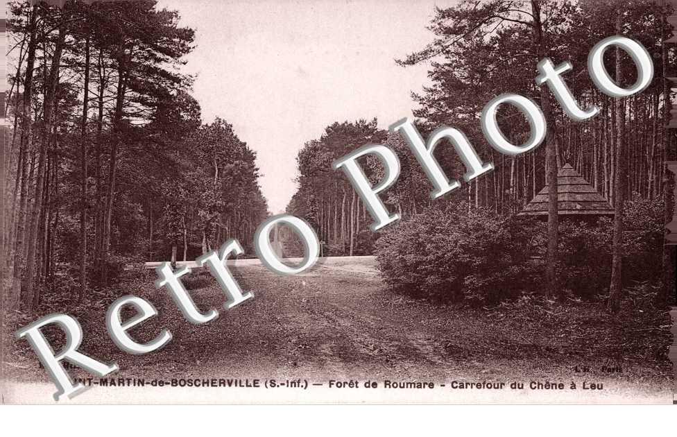 Foret de Roumare - Carrefour du chene a Leu