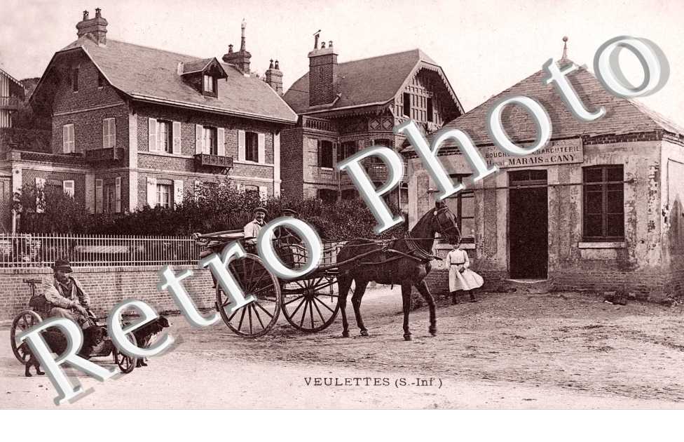 Attelage de Chiens et de Chevaux, Vue Interieure