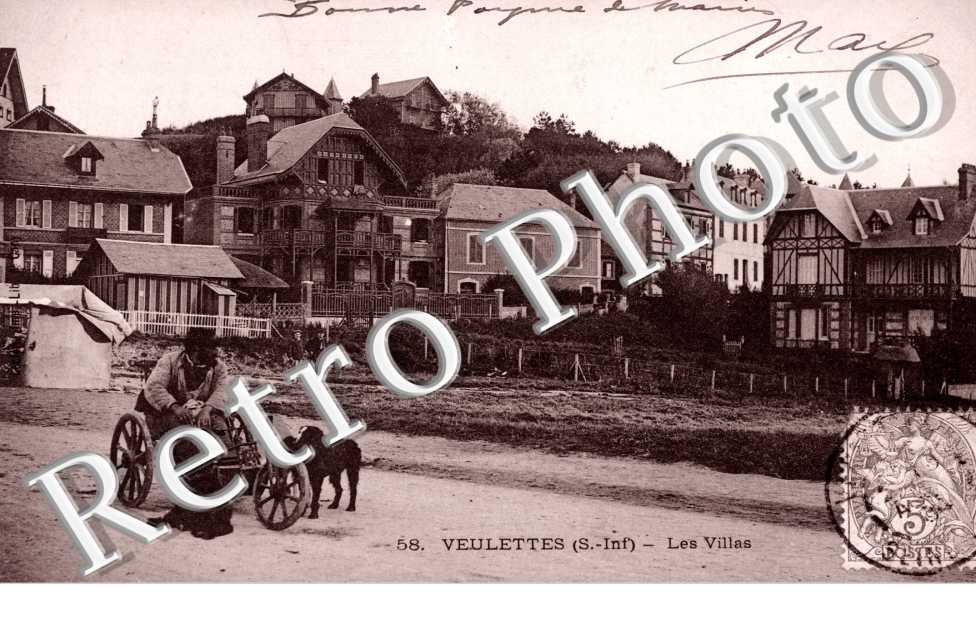 Attelage de Chiens, les Villas