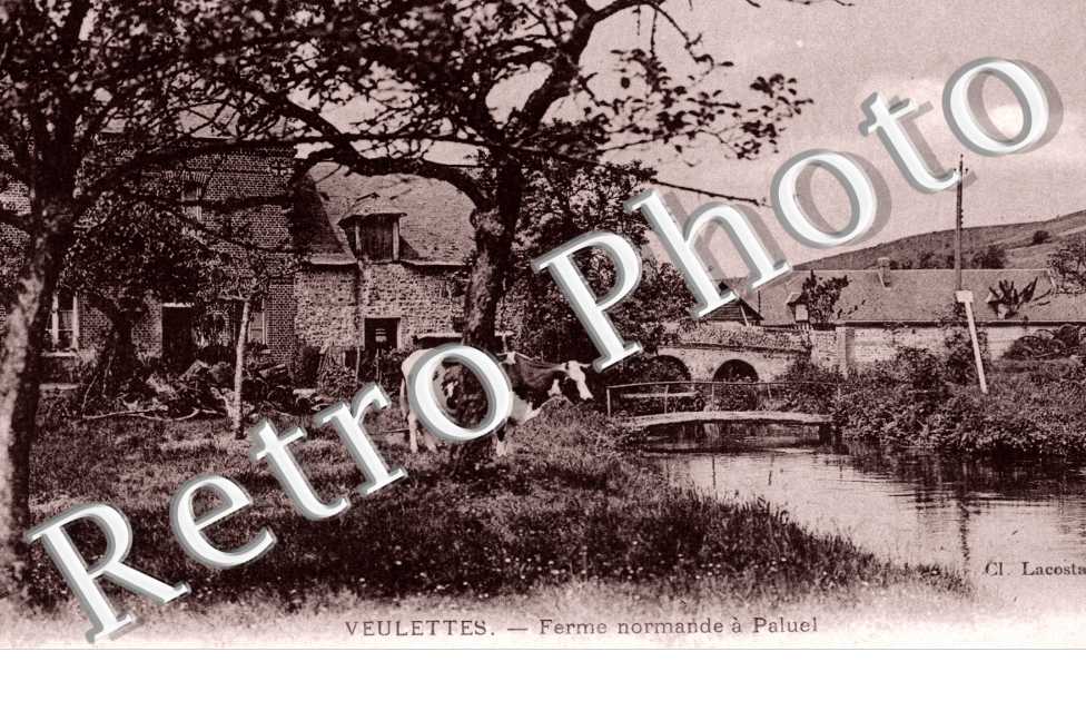 Ferme Normande a Paluel