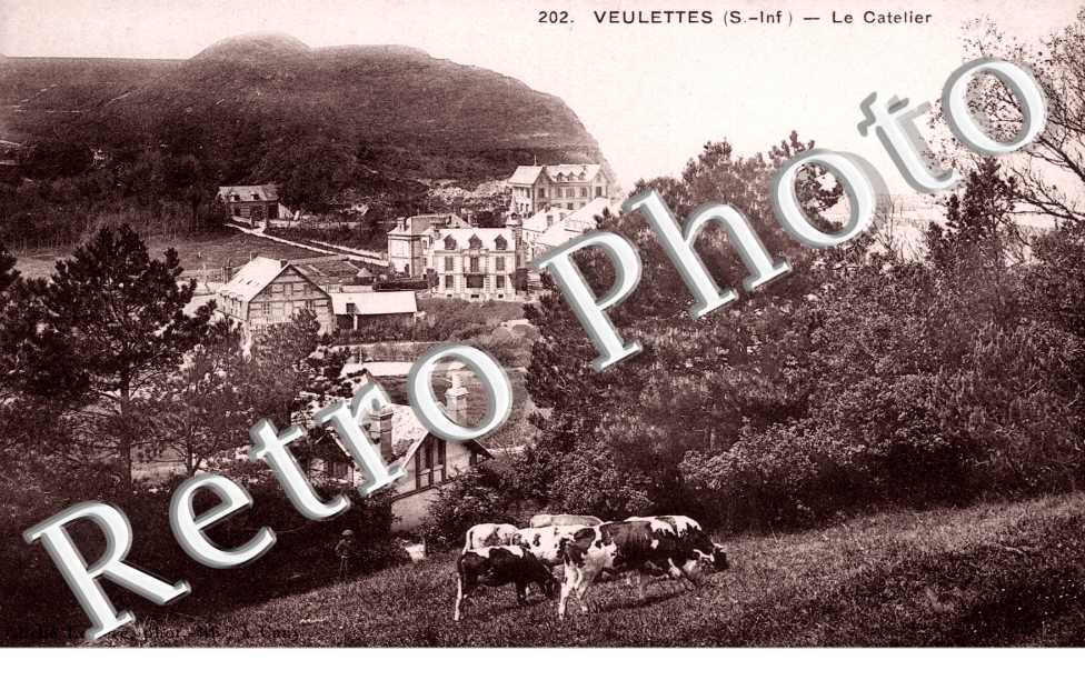 le Catelier