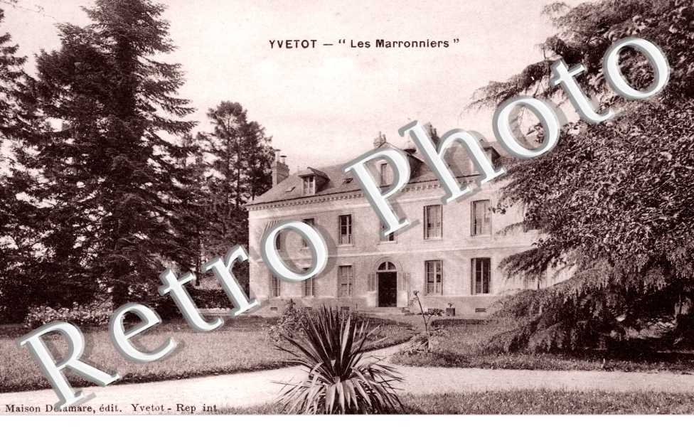 Les Maronniers