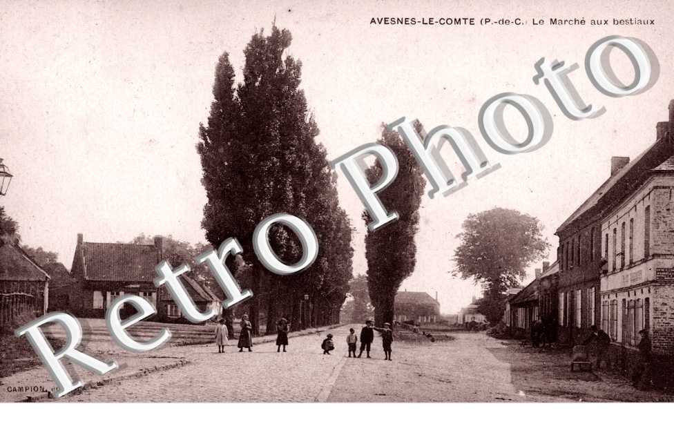 le marche aux bestiaux