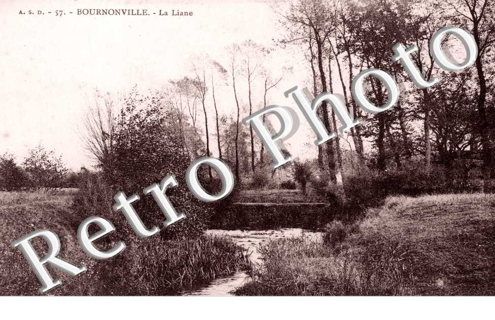 la Liane