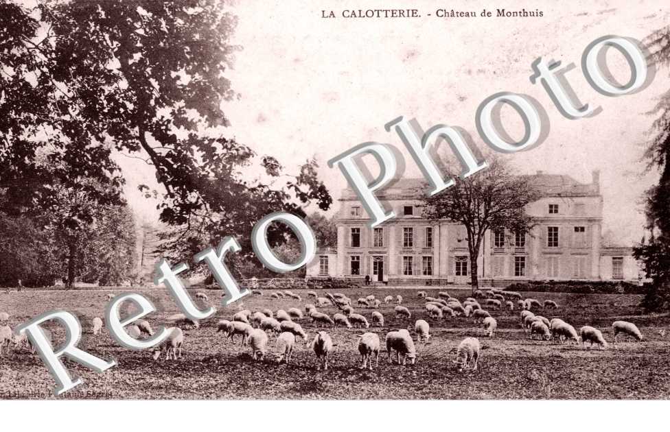 chateau de Monthuis