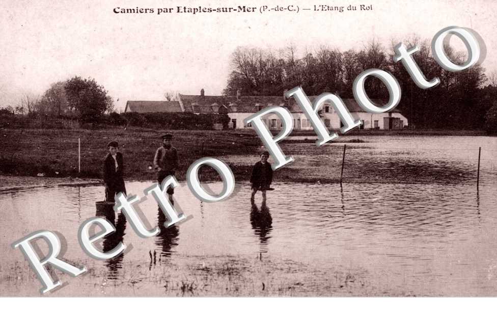 l'etang du Roi