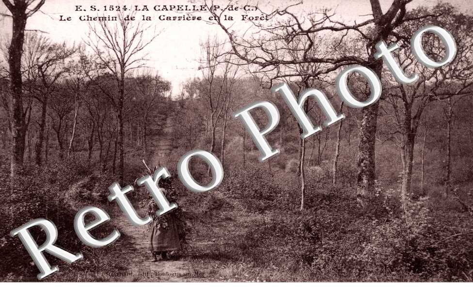 le chemin de la carriere et la foret