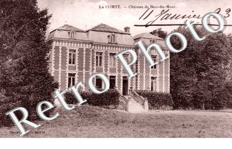 chateau du Bois-du-Mont