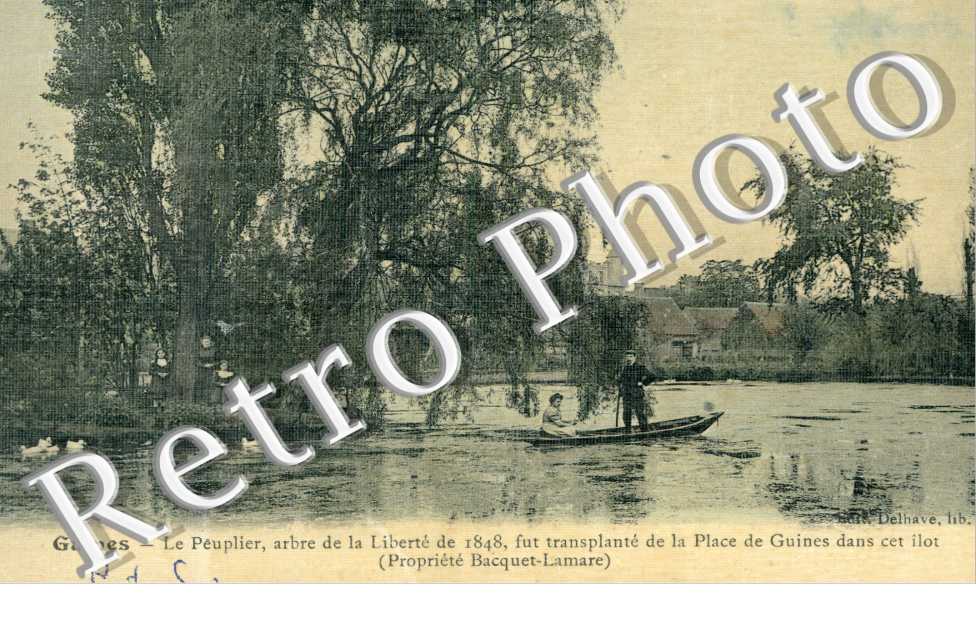 le peuplier, arbre de la Liberte de 1848