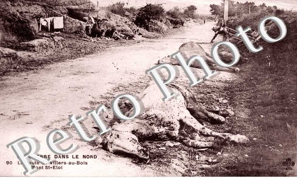 la route de Villers au bois