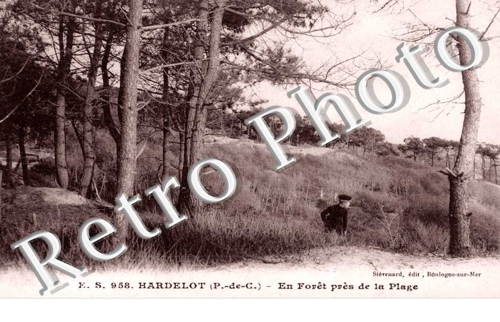 en foret pres de la plage