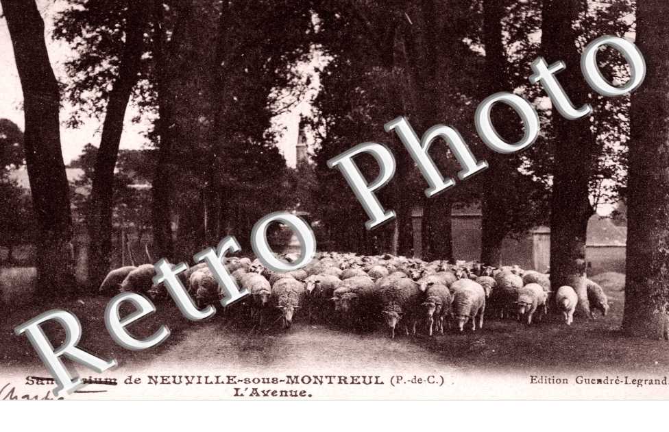L&#039;avenue