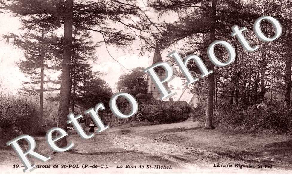 Le bois de Saint Michel