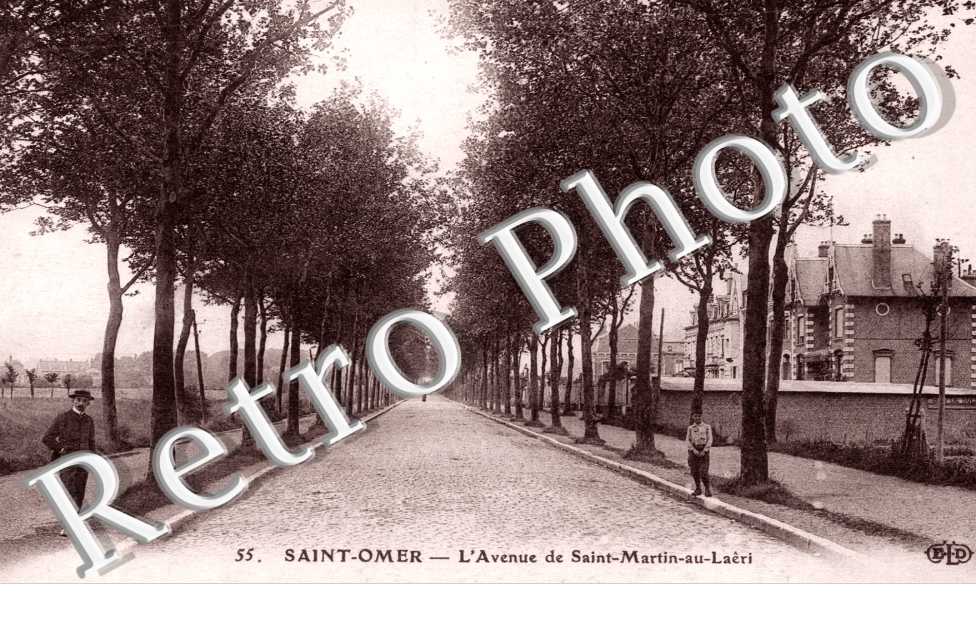 Avenue de Saint Martin au Laërt