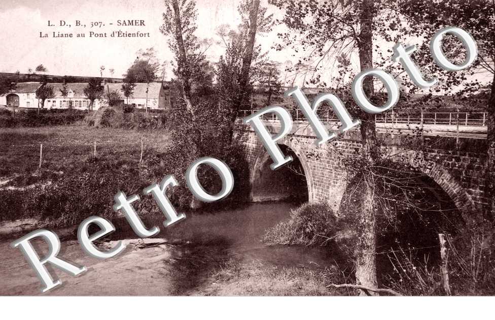La liane au pont d&#039;Etienfort