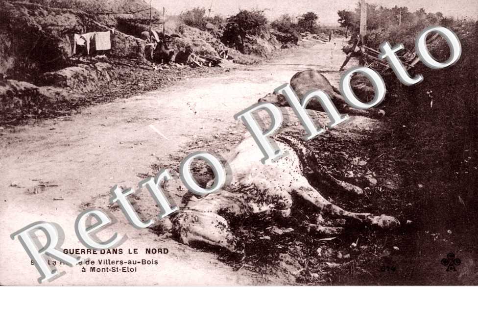 La route de Villers aux bois