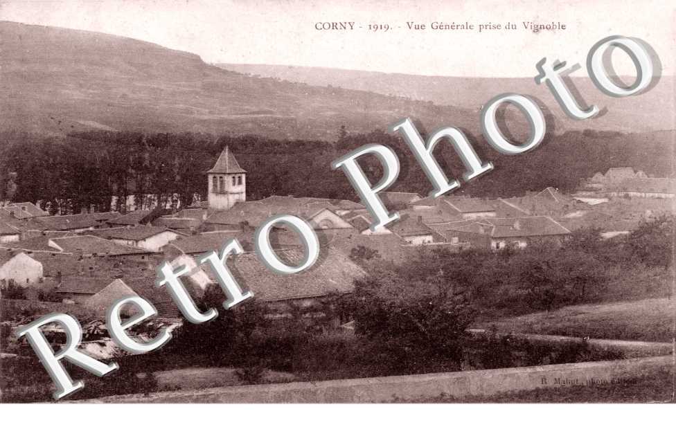 vue generale prise du vignoble