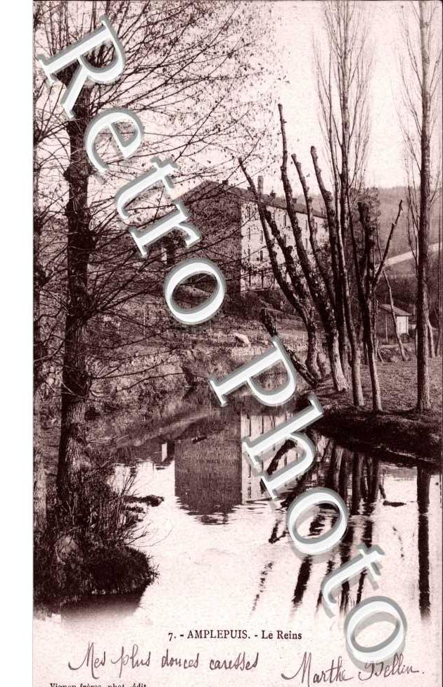 Le reins
