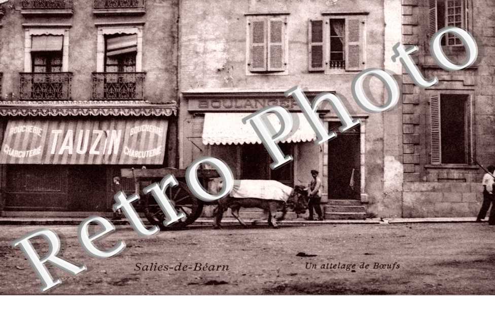 Attelage de Boeuf