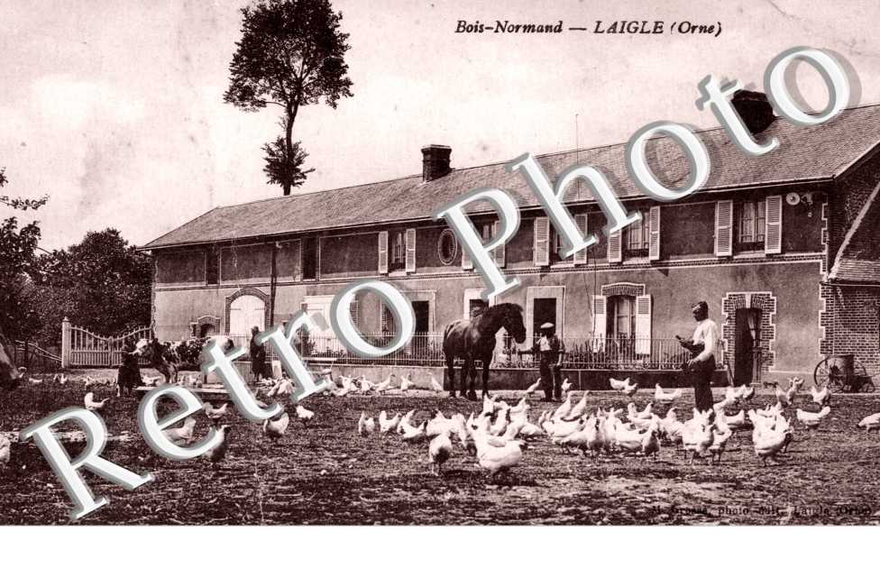 Bois-Normand