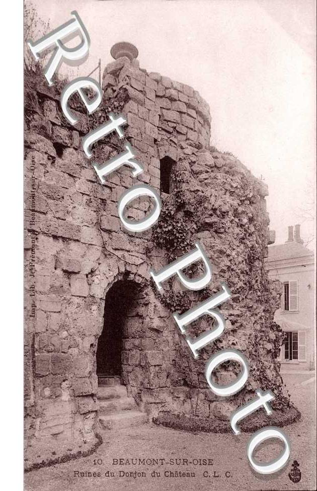 Ruines du Donjon du Chateau