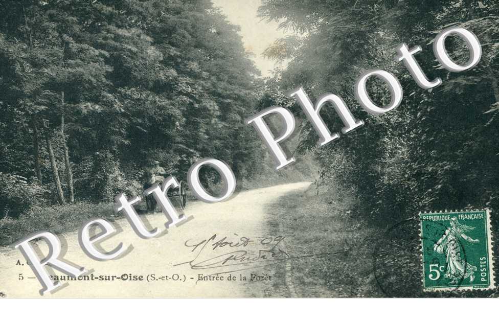 Entree de la Foret