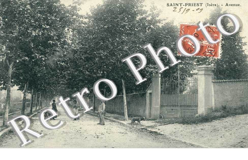 Avenue