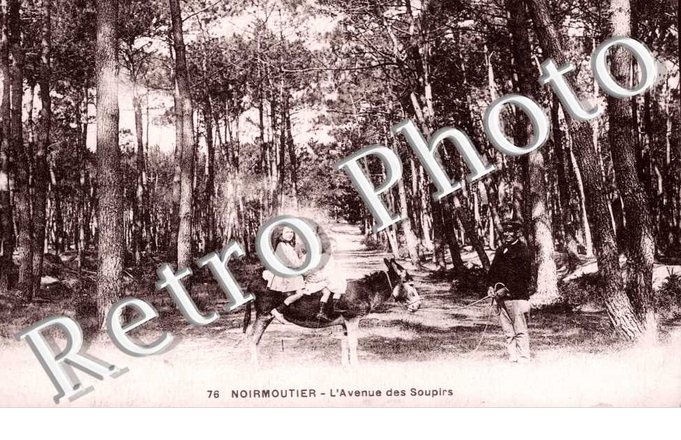 L&#039;avenue des Soupirs