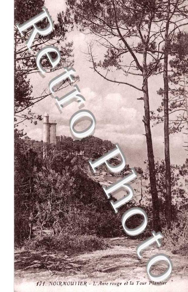 Bois de la Chaise L&#039;anse rouge et la tour Plantier