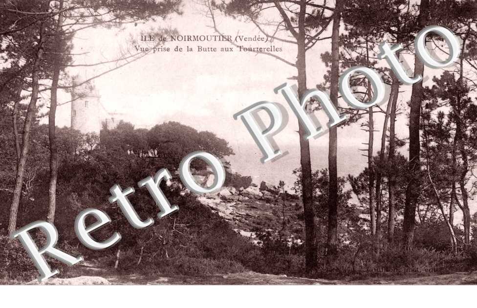 Bois de la Chaise L&#039;anse rouge et la tour Plantier Vue prise de la Butte aux Tourterelles