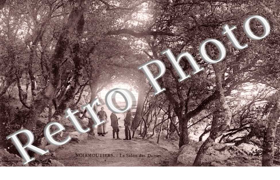 Le Bois de la Chaise Le salon des dames