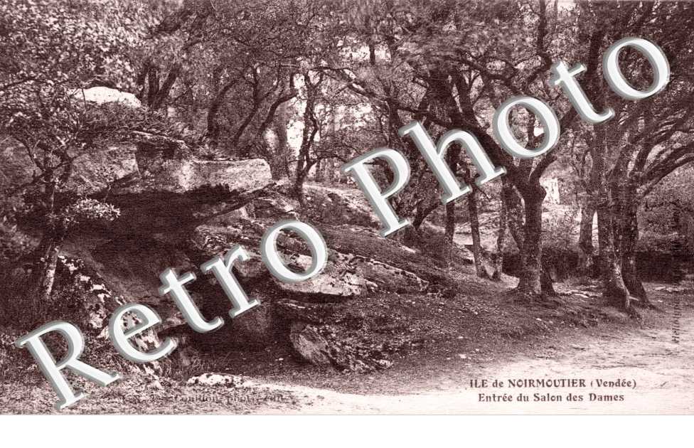 Le Bois de la Chaise entree du salon des dames